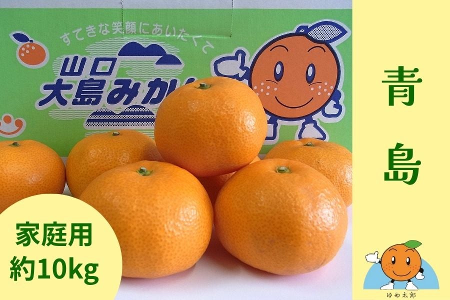 山口大島みかん「青島」【ご家庭用・約10kg】～みかんの島からお届け