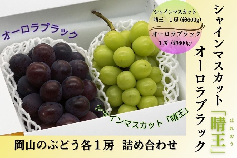 シャインマスカット&オーロラブラック 各1房詰（8月下旬頃～9月下旬