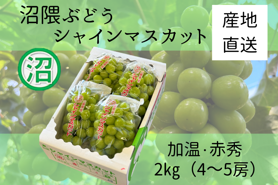 沼隈ぶどう シャインマスカット 赤秀2㎏ 加温（7/21～8/9出荷） お中元