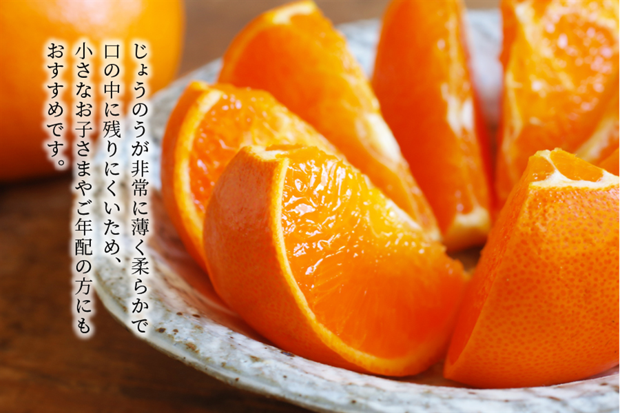 香川県産柑橘「せとか」 約3㎏（7～12玉）化粧箱入り: JAギフト