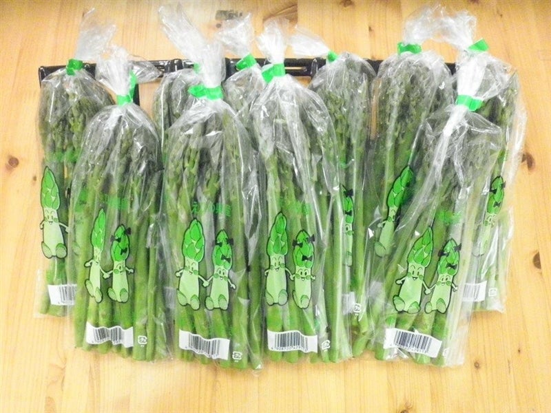 1．5kg】アスパラガス「緑のささやき」約1．5Kg（約150g