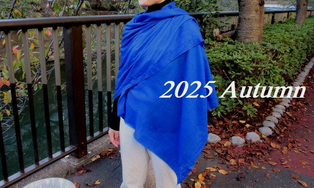 FRATELLI LUIGI フラテッリ ルイージ シルク スカーフ コットン