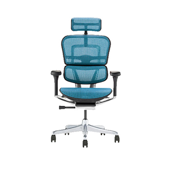 EHP2-HAM-DR-BF-BK エルゴヒューマン PRO2 High Type ブラックフレーム