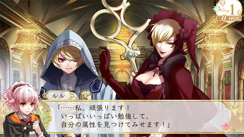 ワンド オブ フォーチュン R for Nintendo Switch｜SYSTEM