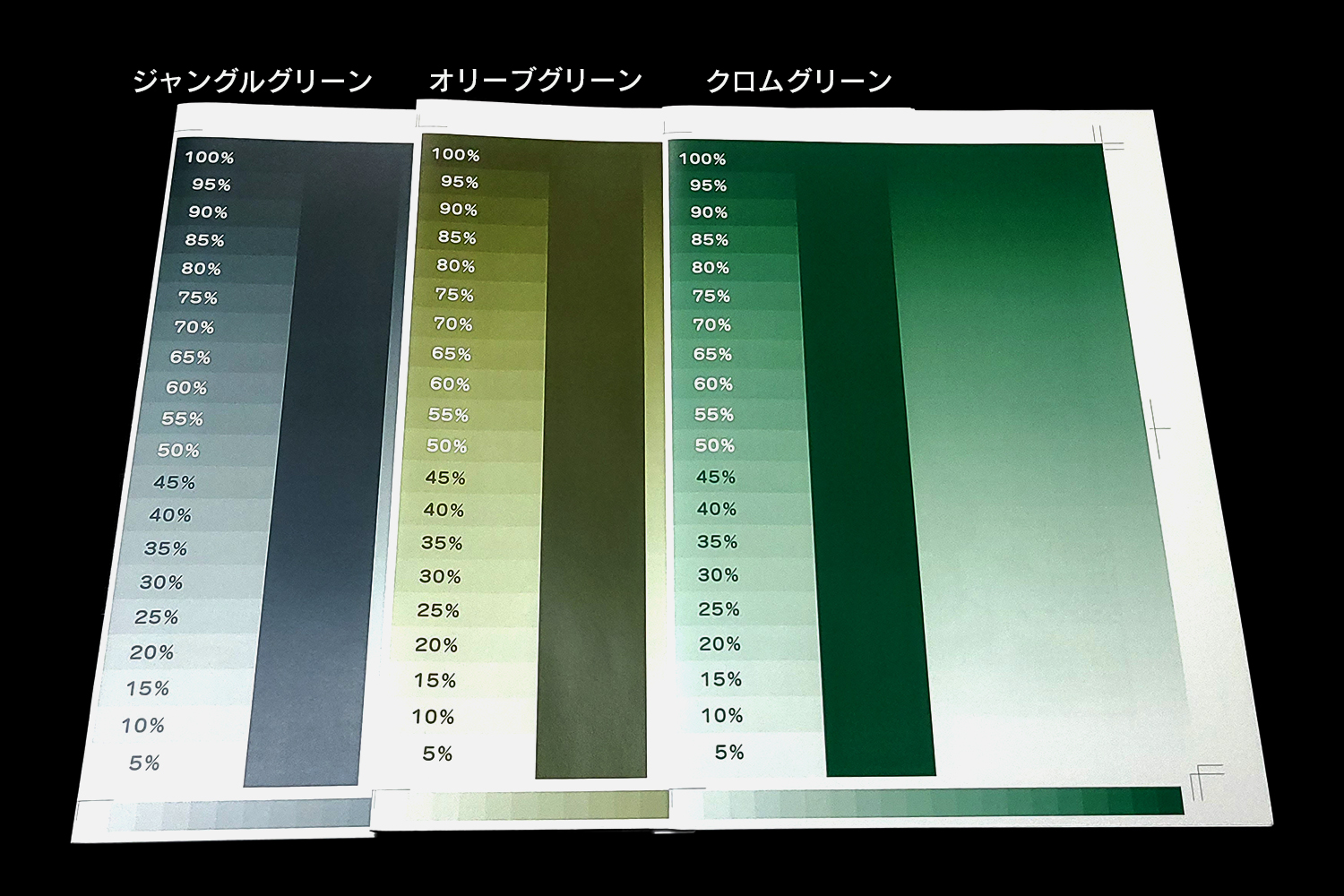 RGBビビッドカラー版】ミランダPPセット(本文単色ダークカラー) | 冊子