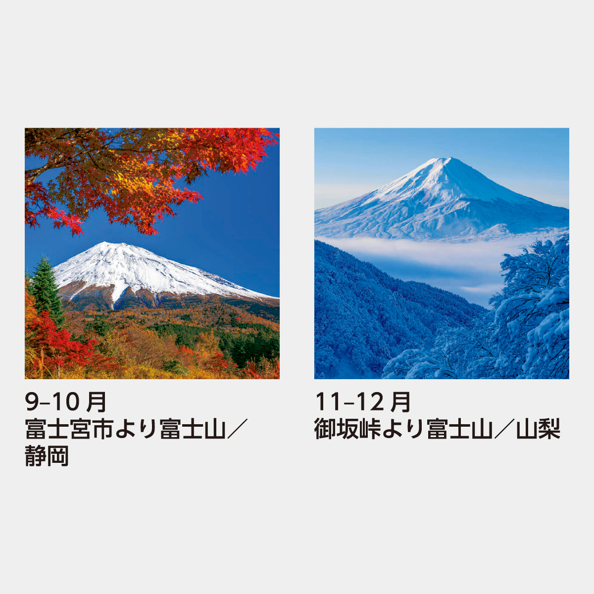 SB-250 【フィルム】富士山2026年版の名入れカレンダーを格安で販売