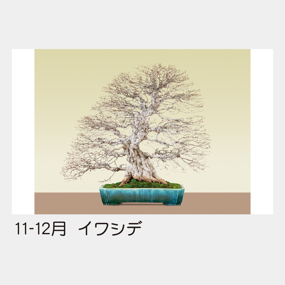 TD-721 日本のこころ(盆栽)2026年版の名入れカレンダーを格安で販売