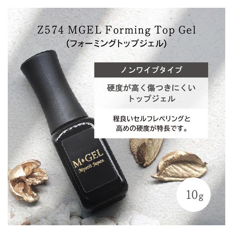 ノンワイプ Ann Professional 艶EXノンワイプトップジェル 100g トップ