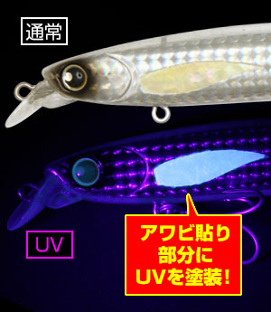 LONGIN PRODUCTS ABALONE Day