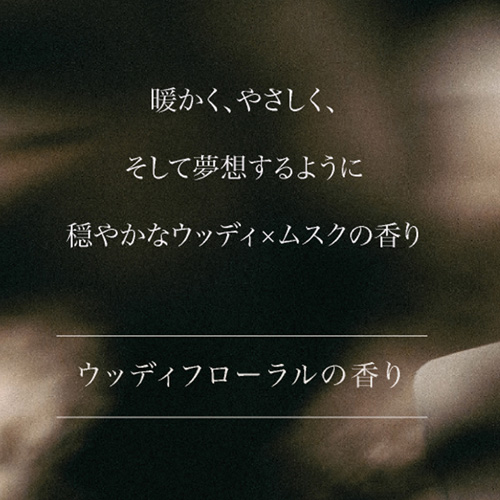 ARTiS di Voce | ハンドウォッシュ 3304 220mL MUSK LAND | ライフ