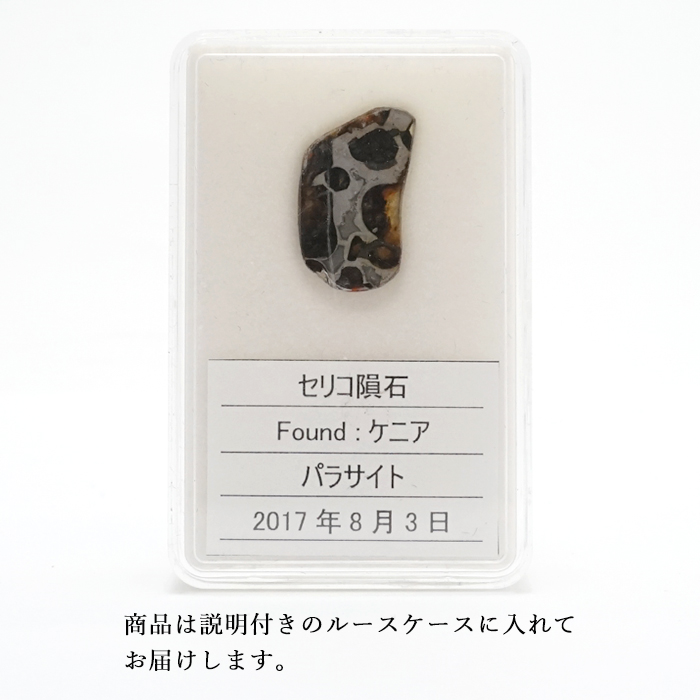 一点物】 セリコ隕石 ケニア産 パラサイト Serico meteorite Parasite