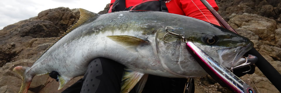 MCワークス RB95XZ-TRIDENT スペシャル MCワークス RB95XZ-TRIDENT