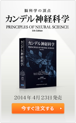 正誤表｜カンデル神経科学｜MEDSi メディカル・サイエンス