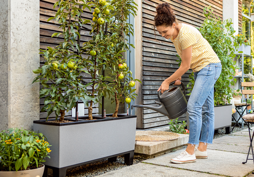 トリオ・ストーン | レチューザ・エコノミー | 松尾貿易商会