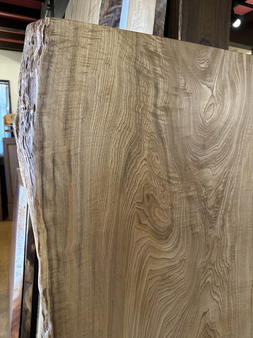 神奈川県 海老名店展示 栓（せん）材 一枚板 テーブル用天板 セール