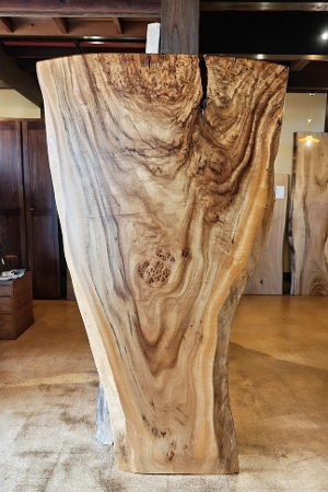 神奈川県 海老名店展示 一枚板 楠材 テーブル用天板 セール｜一枚板