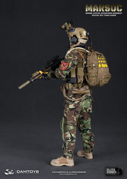 MARSOC Marine Special Operations Regiment Special Ops Team leader