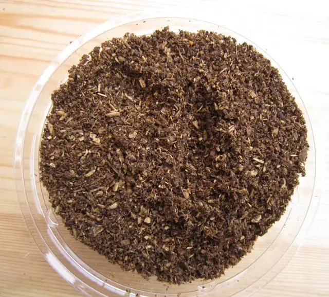 会員様限定特価】無添加最高級！虫吉プレミアム幼虫用マット4リットル