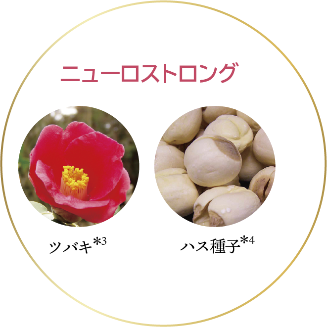 スペチアーレ×ニューロジック 薬用セラム｜商品情報｜ノエビア