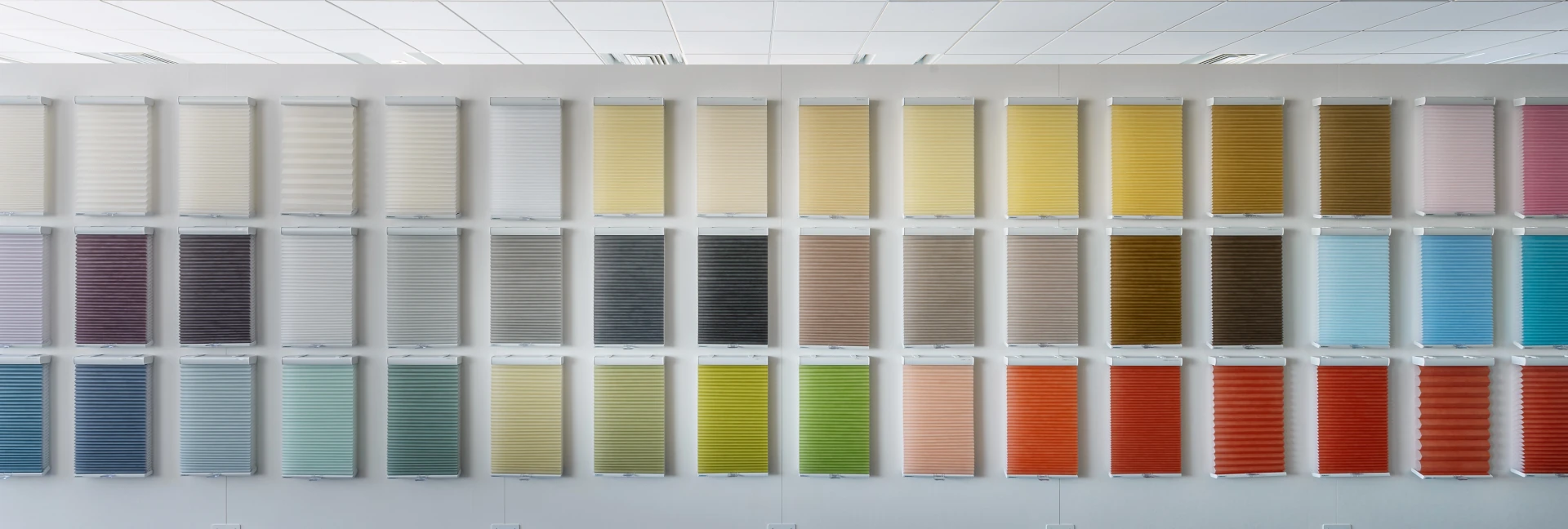 カラー | ハニカムエコスクリーン | ノーマンジャパン