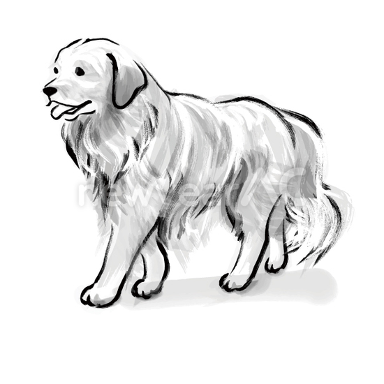 犬の水墨画20 No:110370│年賀状2026（令和8年・午年・うま）無料素材