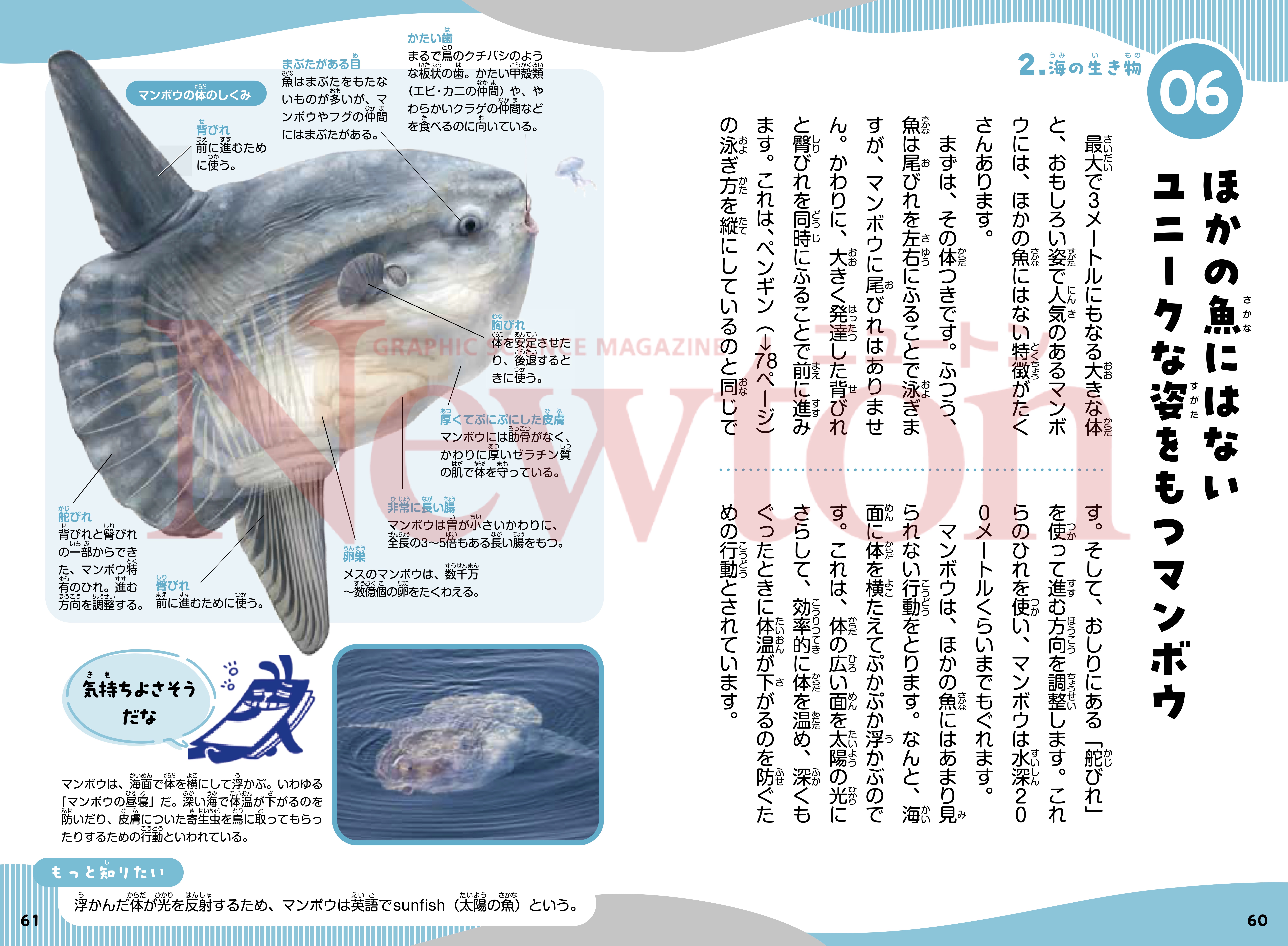 ニュートン科学の学校シリーズ 海の学校 | ニュートンプレス