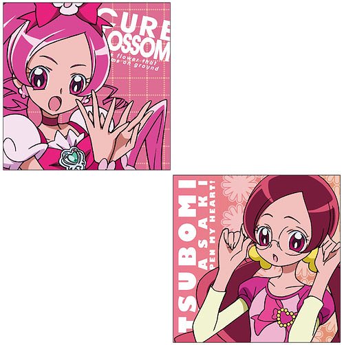 キュアブロッサム ジャンボタオル 「ハートキャッチプリキュア