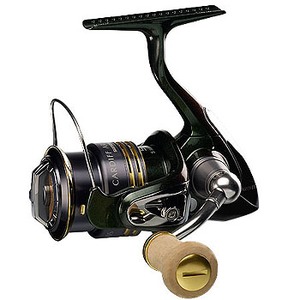 602_1.jpg?20081014113704