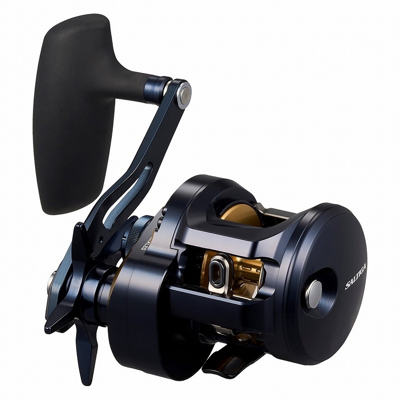 ダイワ(Daiwa) 25ソルティガ 300 右ハンドル 00631554｜アウトドア用品
