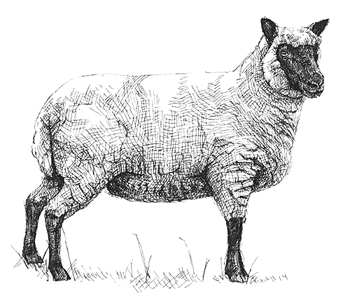 N-031 / ARCHIVE / NAHYAT