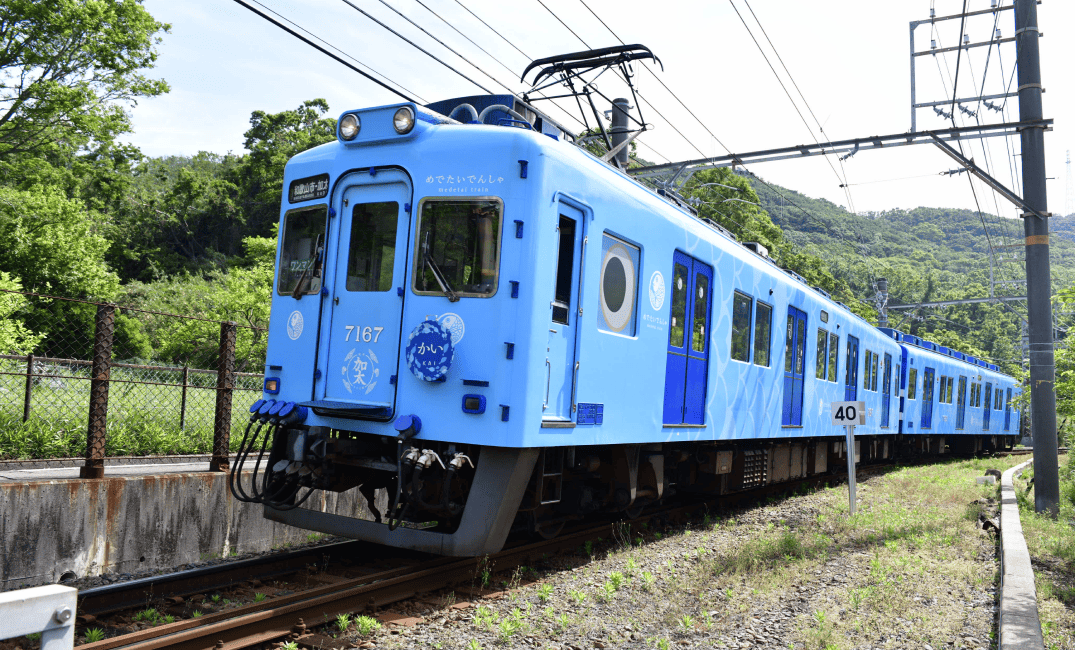 加太さかな線観光列車-水色の「めでたいでんしゃ」かい｜南海電鉄