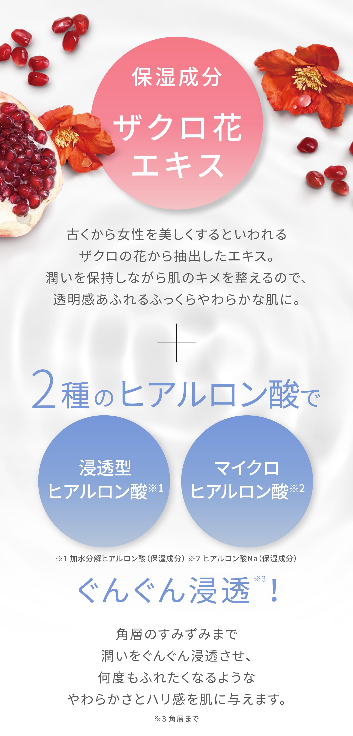 オールパーパスローション(通常購入): シリーズから探す / ナリス