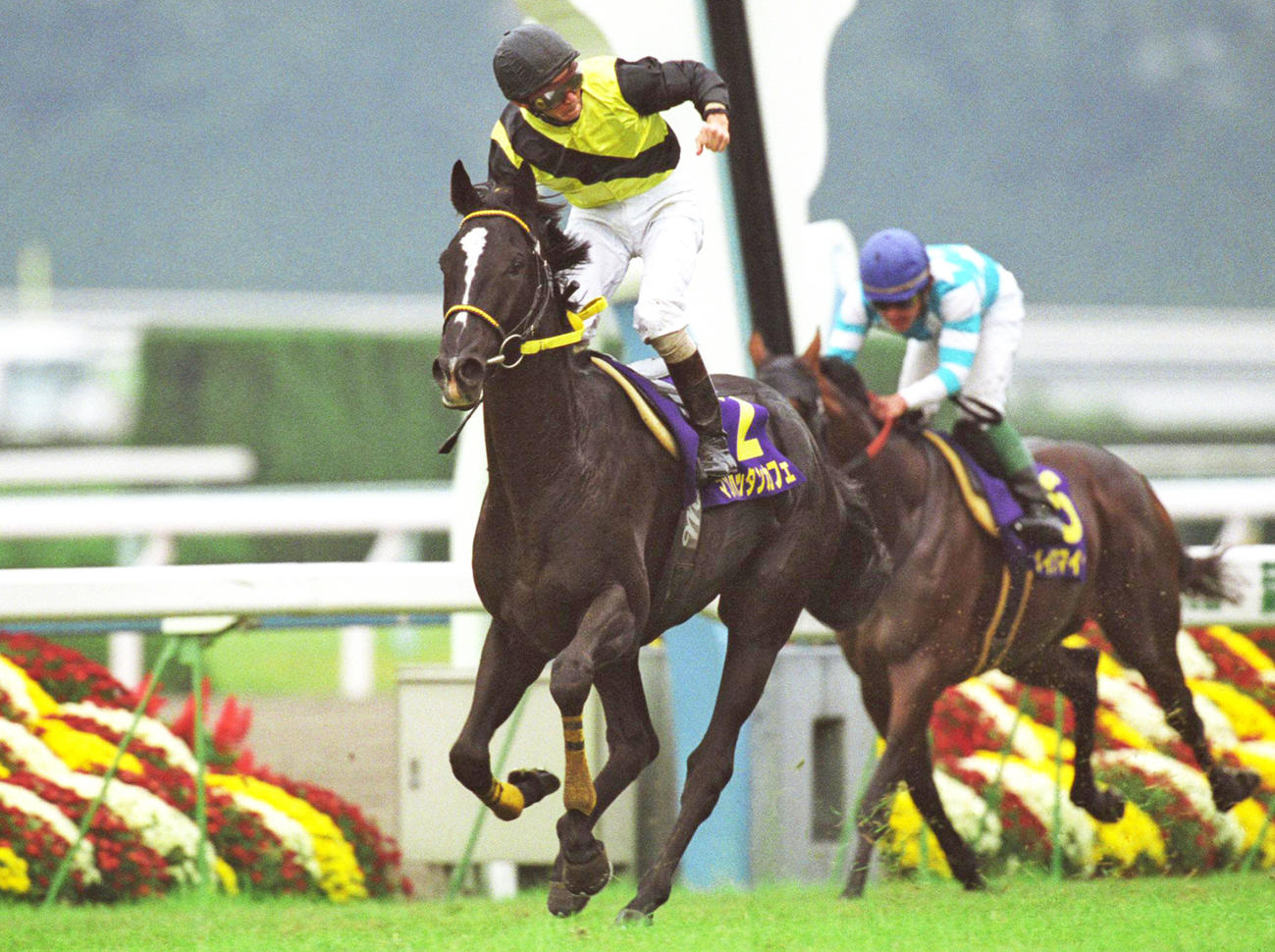 現地単勝 2001年 菊花賞 マンハッタンカフェ 202507090001923-w1300_0.jpg