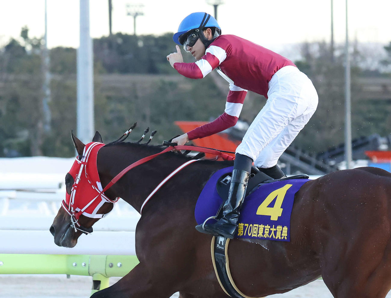 美*)様 坂井瑠星 3枚セット 日本テレビ盃 フォーエバーヤング