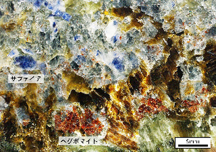 南極大陸の岩石の中から新鉱物を発見