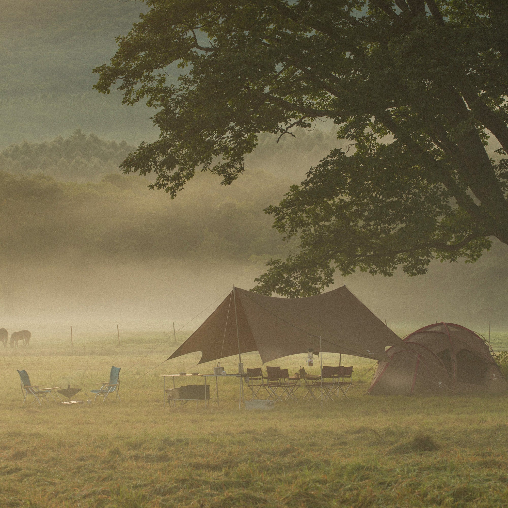 Snow Peak Heavy Duty Tarp Shield Hexa Evo Pro. – Snow Peak