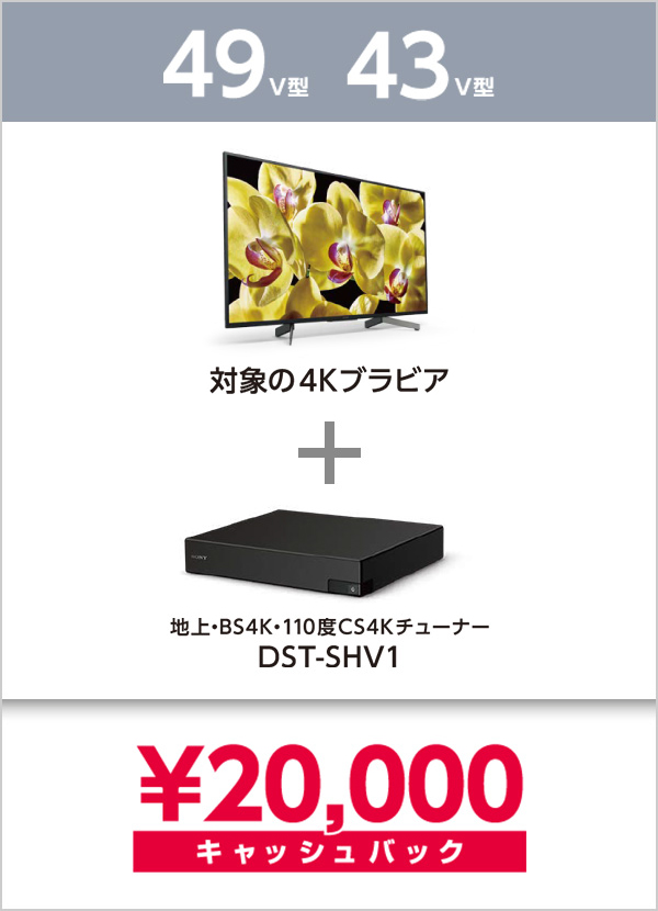 ブラビアでBS4K/CS4Kを見よう！キャッシュバックキャンペーン | テレビ