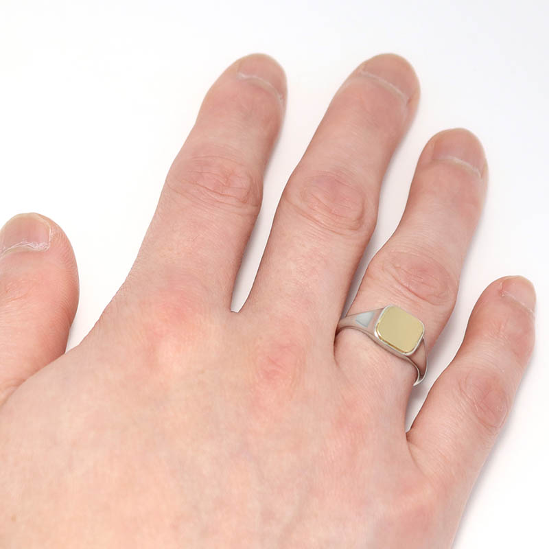 GARDEL（ガーデル） ELEMENT RING - Silver×K18Yellow Gold
