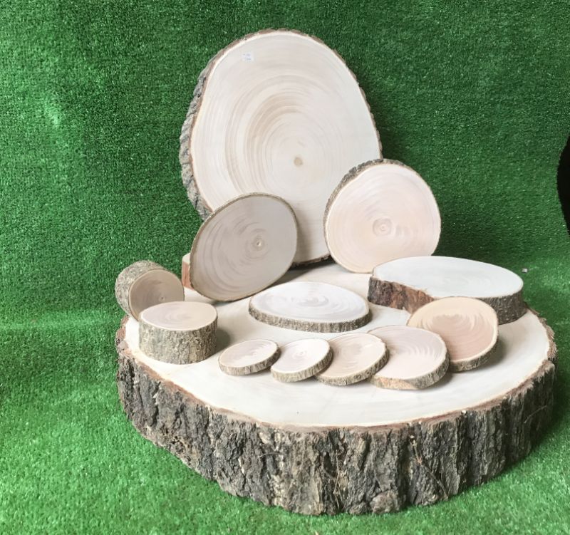 丸太や輪切りで製作したディスプレイ用の店舗什器