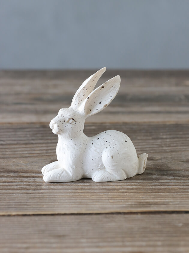 ラビットIホワイト サラグレース