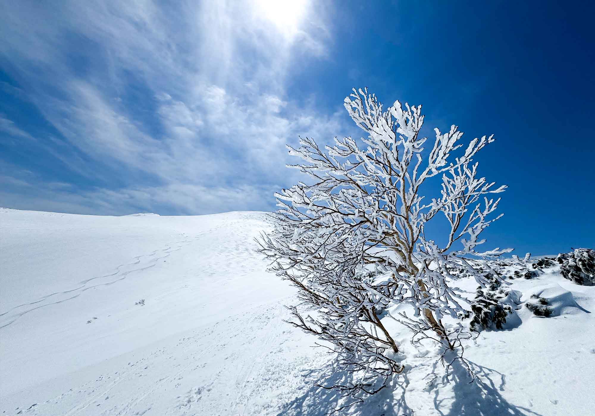 ホーム - 秀岳荘