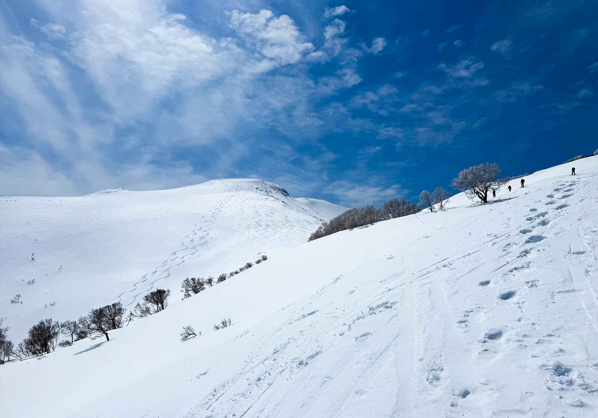 ホーム - 秀岳荘