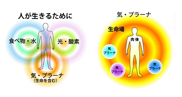 3Dカバラ・パドマキューブの販売店【信州健康倶楽部】