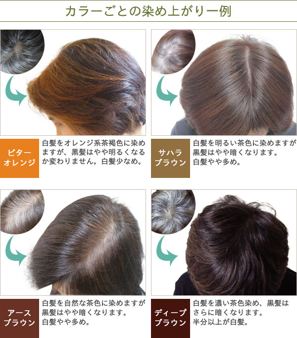 ヘナオーガニータ・サハラブラウン（100g）【3個セット】【グリーン