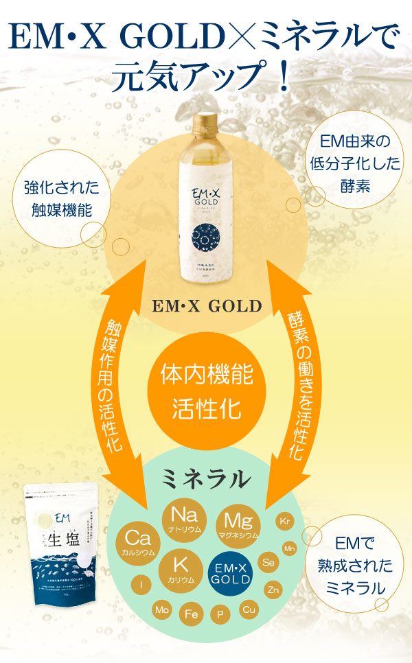 EM・Xゴールド（500ml）【6本セット】【イーエム総合ネット