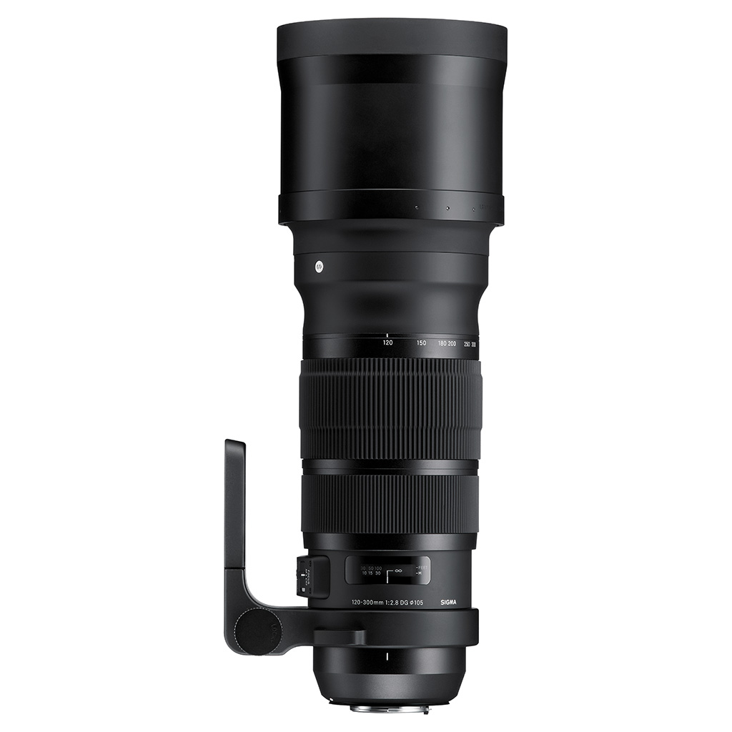 SIGMA 120-300mm F2.8 DG OS HSM | Sports | SIGMA Corporation of America