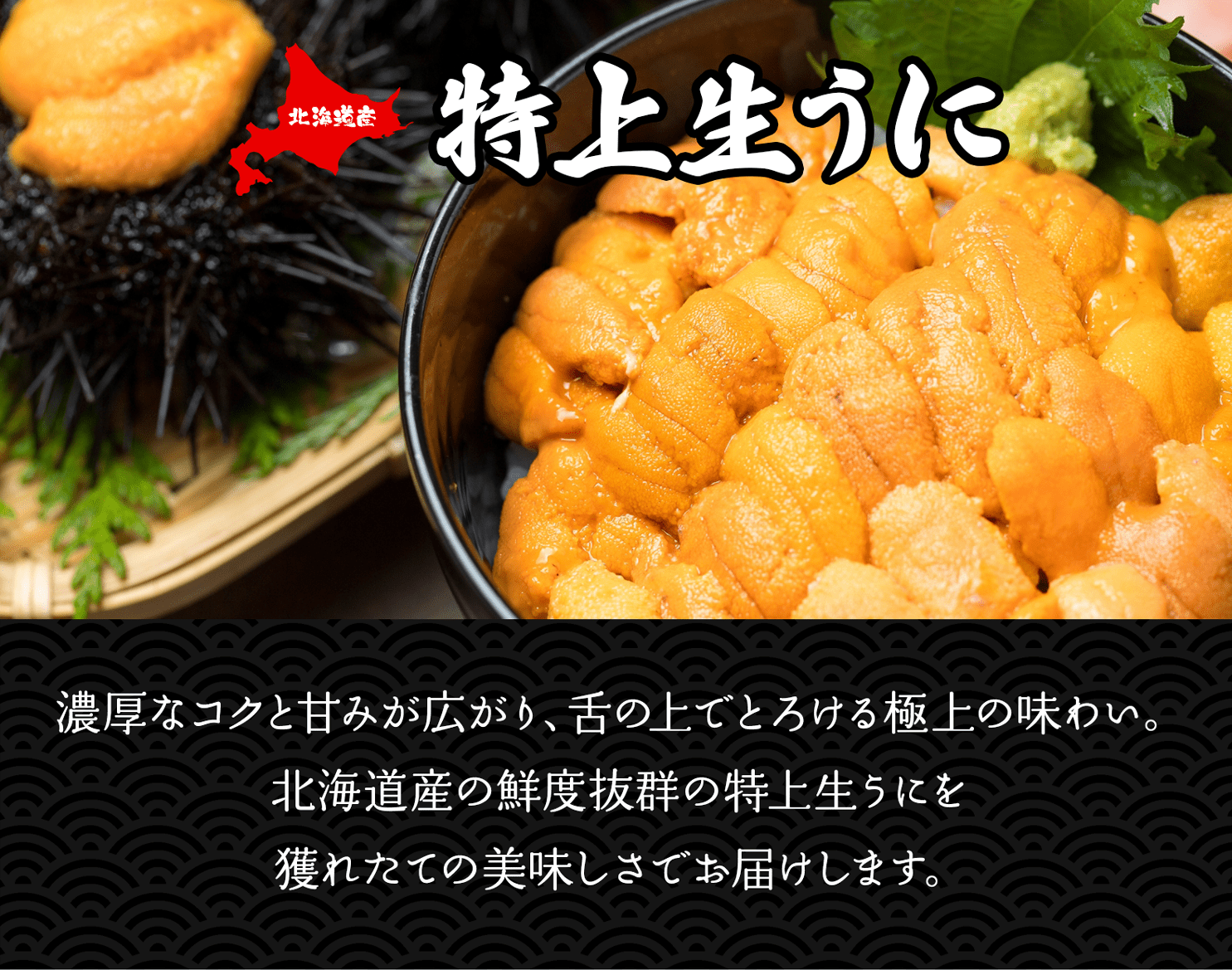 701(F701) ＜冷凍＞ 特上生うに 70g・1折｜北海道網走水産