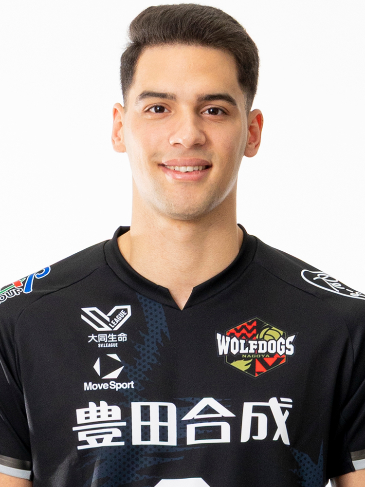 ウルフドッグス名古屋 チーム・選手 | 公益社団法人SVリーグ/一般社団