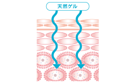 パック｜自然の恵みから生まれた高品質な天然力スキンケアのポリシー化粧品
