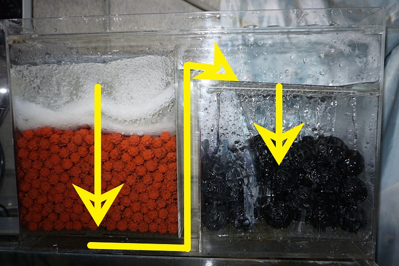 オリジナル ウェット＆ドライ上部フィルターの組み立て方 - ペット